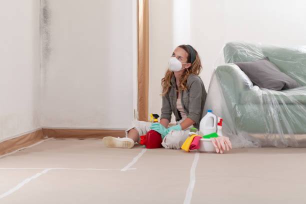 Reliable Black Mold Removal contractor in Buckley, WA by WQB Mold Removal
